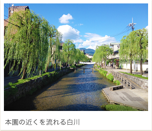 本園の近くを流れる白川