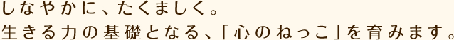 しなやかに、たくましく。 生きる力の基礎となる、「心のねっこ」を育みます。