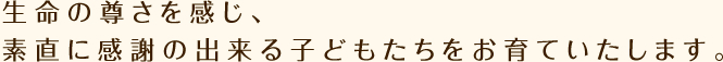 生命の尊さを感じ、素直に感謝の出来る子どもたちをお育ていたします。