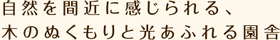 自然を間近に感じられる、木のぬくもりと光あふれる園舎