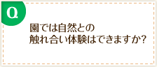 園では自然との触れ合い体験はできますか？