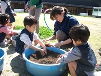 さくらぐみ（年中児）がふうせんかずらの種を植えました。