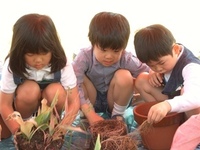 あおい組（年長児）が植木鉢の植え替えの準備をしています。