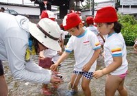 さくら組（年中児）が白川に遊びに行きました。