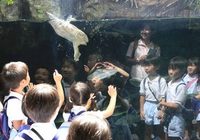 あおい組が京都水族館に行きました。