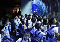 あおい組が京都水族館に行きました。