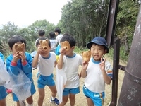 あおい組（年長児）が稲荷山へ行きました。