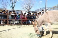 お別れ遠足