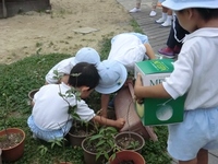 ６月のある日