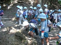 鞍馬山へ行ったよ。