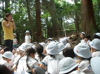 鞍馬山に行きました。