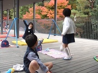 幼稚園のもみじがとってもきれいですよ。