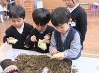 ほうじ茶ができたよ。