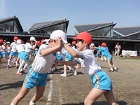 あおい組（５歳児）ミニ運動会をしたよ。