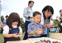 きらきらサタデー　よもぎもちつくり　３歳児親子