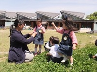 クローバーがたくさんあるよ。