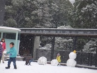 雪あそびをしたよ。