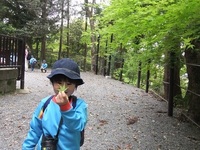 将軍塚に山登りに行ったよ。（年長児）