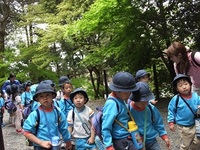 将軍塚に山登りに行ったよ。