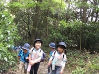 将軍塚に山登りに行ったよ。（年長児）