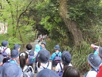 将軍塚に山登りに行ったよ。（年長児）