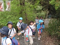 将軍塚に山登りに行ったよ。（年長児）