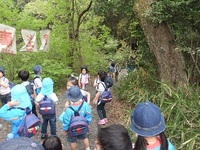 将軍塚に山登りに行ったよ。（年長児）