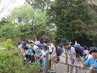 将軍塚に山登りに行ったよ。（年長児）