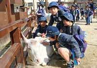 京都市動物園にお別れ遠足で行きました。