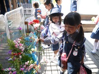 花まつりをするのに各家庭からお花を持って来てくれました。