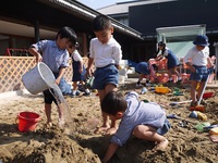 秋晴れの中、元気に遊んでいます。