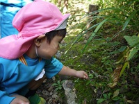 つぼみ組（２歳児）が植物園に親子で遠足に行きました。