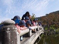 ちゅうりっぷ組（３歳児）が円山公園にお散歩に行きました。