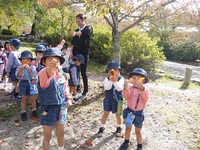 ちゅうりっぷ組（３歳児）が円山公園にお散歩に行きました。