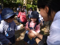 ちゅうりっぷ組（３歳児）が円山公園にお散歩に行きました。