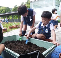 土を混ぜて・・・