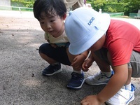 3歳児　高校のグランドにお散歩に行ったよ。