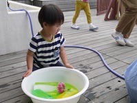 3歳児　氷で遊んだよ