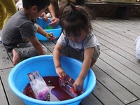 3歳児　氷で遊んだよ