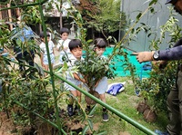 レンギョウの植樹をしました。