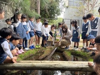 森のひろば　ビオトープ