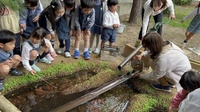 森のひろば　ビオトープ