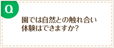 園では自然との触れ合い体験はできますか?